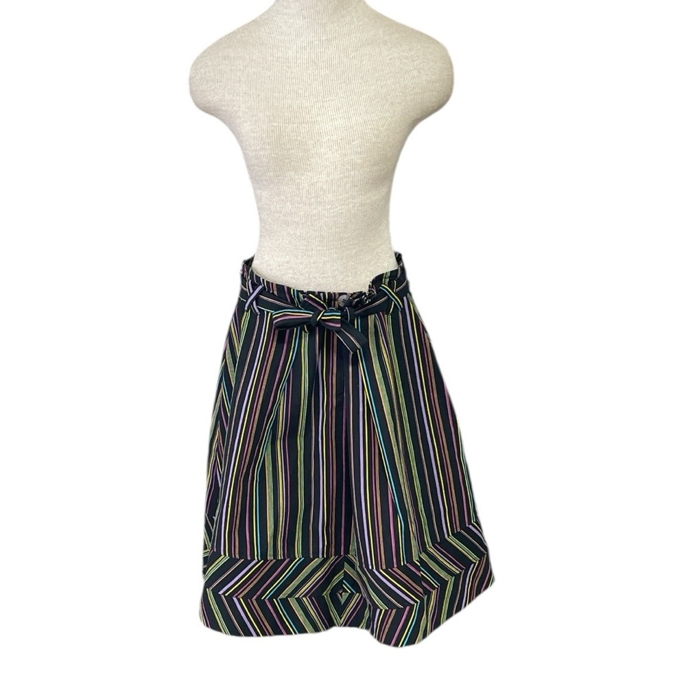 Alexandre Herchcovitch Striped Multicolor Women's Skirt Brazilian Designer Large